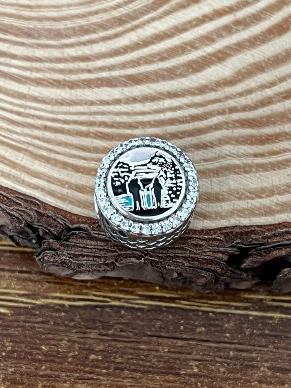 Pandora Hiking in Banff National Park Bead Charm S925 Silver Charm